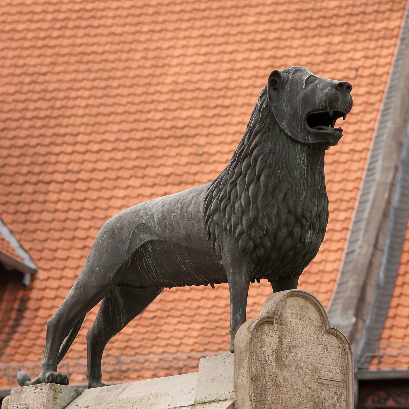 Sicherheitsdienst Braunschweig, Snoel